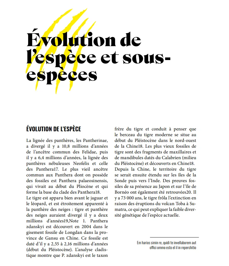 Mise en page éditoriale sur le tigre